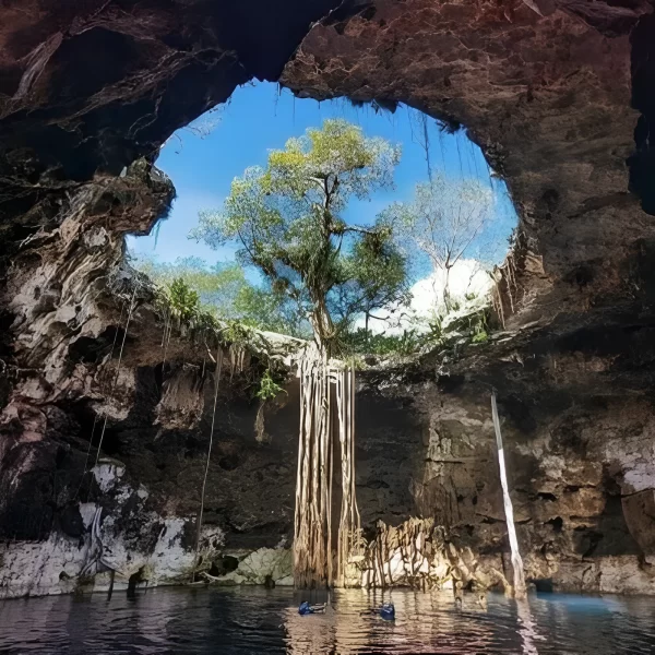 Tour Tres Cenotes